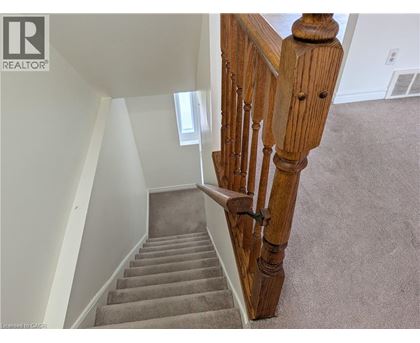 A staircase with a wooden handrail and beige carpeted steps.