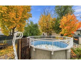 A small above ground pool surrounded by a fence and trees with autumn leaves.