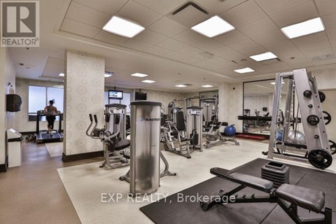 A gym with a variety of equipment including a squat rack, bench press, and a treadmill.