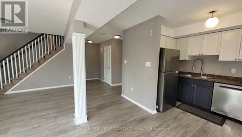 6 - 17 CHELTENHAM ROAD 3 Beds Apartment for Rent