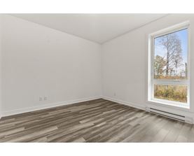 A room with a window showing a tree outside.