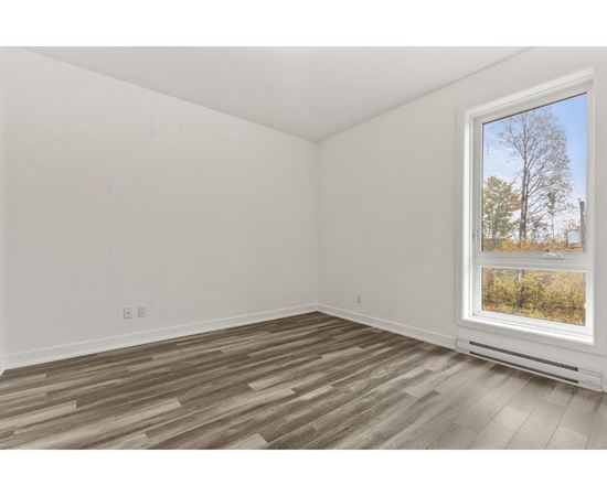 A room with a window showing a tree outside.