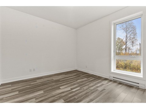 A room with a window showing a tree outside.