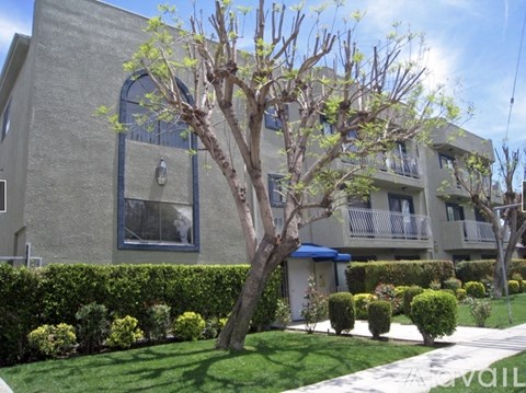 A tree in front of a building with a blue awning.