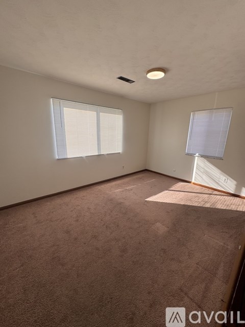 A room with carpeted floor and two windows.