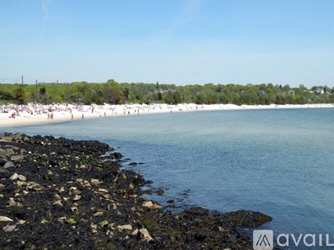 A beach with people on the sand and trees in the background.