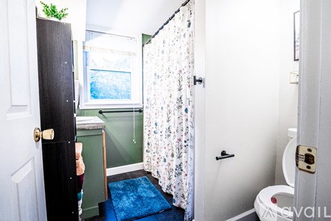 A bathroom with a blue rug and a white shower curtain.
