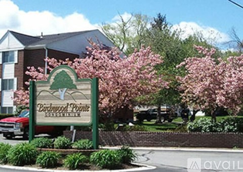 5 Birchwood Pointe 2 Beds Apartment for Rent