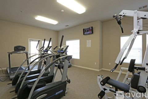 A home gym with a row of treadmills and elliptical machines.