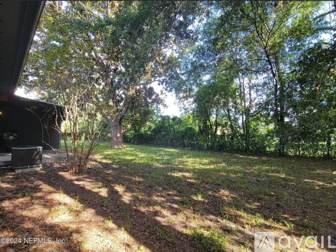A backyard with trees and a shed.