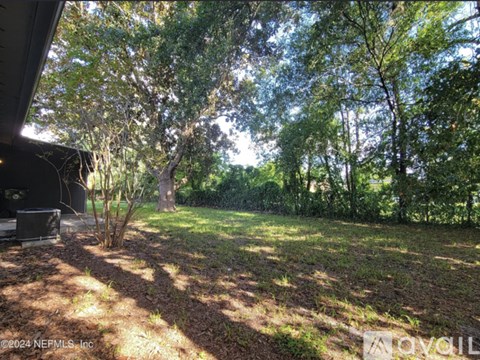 A backyard with trees and a shed.