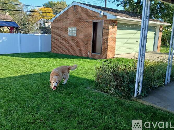 A dog is playing in the grass in front of a house.