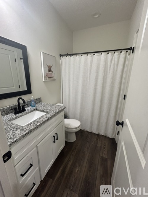 A bathroom with a sink, toilet, and shower curtain.