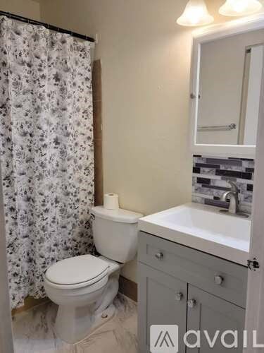 A bathroom with a toilet, sink, and shower curtain.
