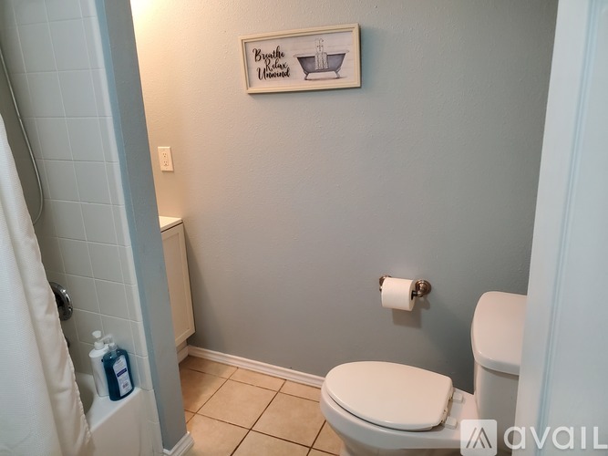 A bathroom with a toilet, a toilet paper roll, and a picture on the wall.