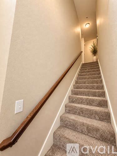 3624 Boxwood Drive 2 Beds Apartment for Rent