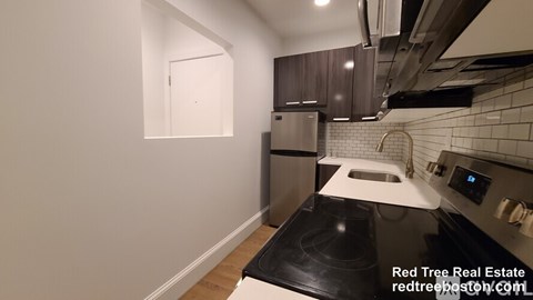 19 Peterborough St 2 Beds Apartment for Rent