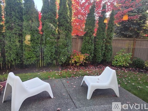 Two white plastic chairs are in front of a garden with red and green trees.