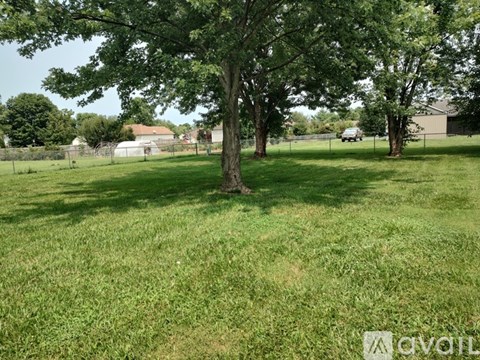 A grassy field with a tree in the center and a fence in the background.