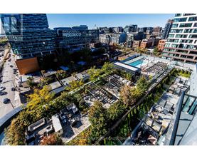 A rooftop garden with a pool surrounded by buildings.