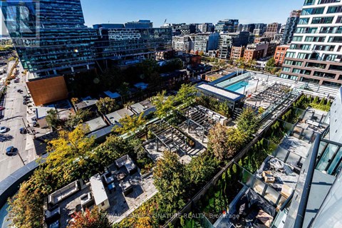 A rooftop garden with a pool surrounded by buildings.
