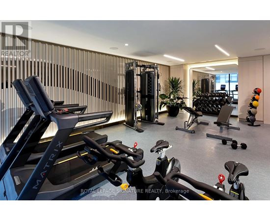 A gym with a treadmill, weights, and exercise equipment.
