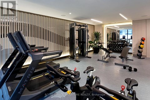 A gym with a treadmill, weights, and exercise equipment.