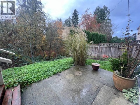 A backyard with a concrete patio and a green hedge.