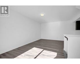 A room with a white wall and a wooden floor with a rug on it.