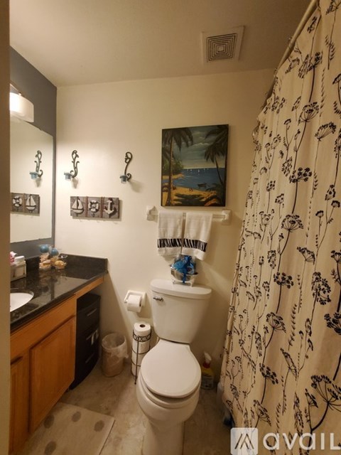 A bathroom with a toilet, sink, and shower curtain.