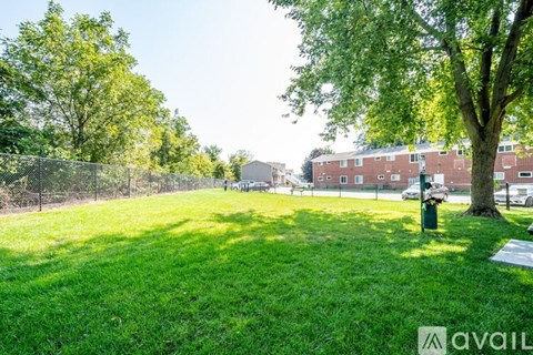 A grassy area with a tree and a fence in the background.