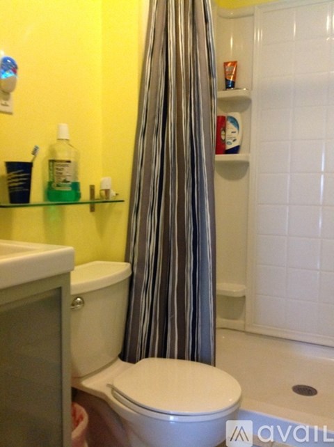 A bathroom with a toilet and a shower curtain.