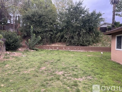 A backyard with a fence and trees.