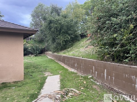 A concrete retaining wall with a small concrete pathway in front of it.