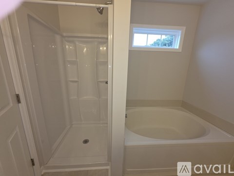 A small bathroom with a walk-in shower and a bathtub.