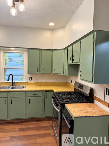 A kitchen with green cabinets and a stove top oven.