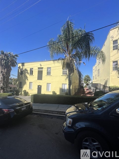 A palm tree stands in front of a yellow building with a clear blue sky above.