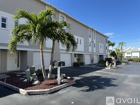 A palm tree stands in front of a building with a sign that says "AVAIL".