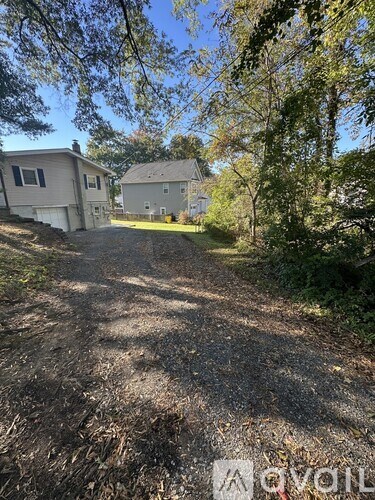 A dirt road leads to two houses surrounded by trees.