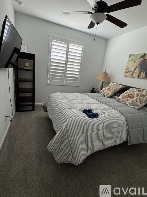 A bedroom with a bed, a ceiling fan, and a television.
