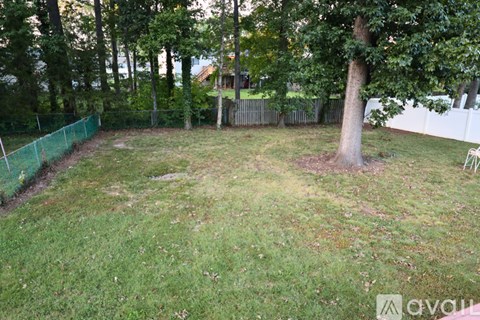 A backyard with a tree, fence and grass.
