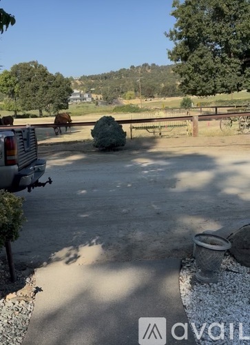 A backyard with a concrete patio and a tree.