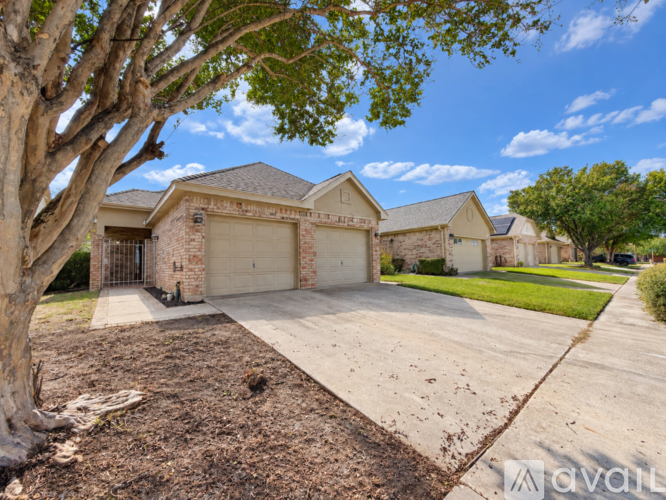 A large tree is in the front yard of a house with a driveway.