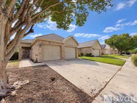 A large tree is in the front yard of a house with a driveway.