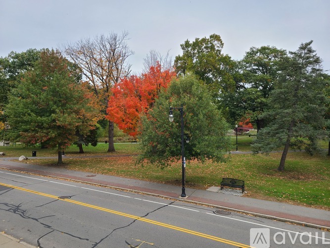134 Elm Street 1 Single Family Home for Rent - Photo gallery 2
