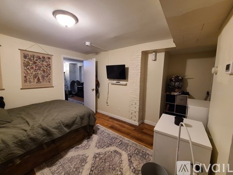 A bedroom with a bed, a TV, and a rug.