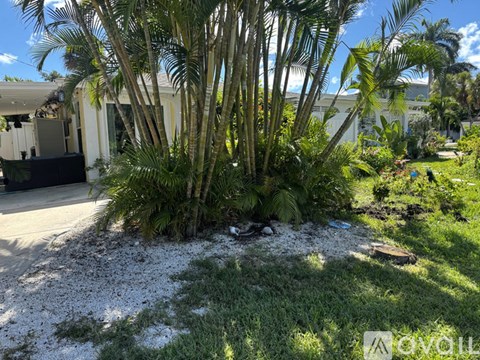 A palm tree in a garden with a house in the background.