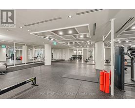 A gym with a variety of equipment including a treadmill, weights and a bench press.