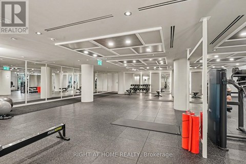 A gym with a variety of equipment including a treadmill, weights and a bench press.