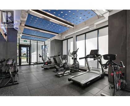 A gym with treadmills, exercise bikes, and other equipment.